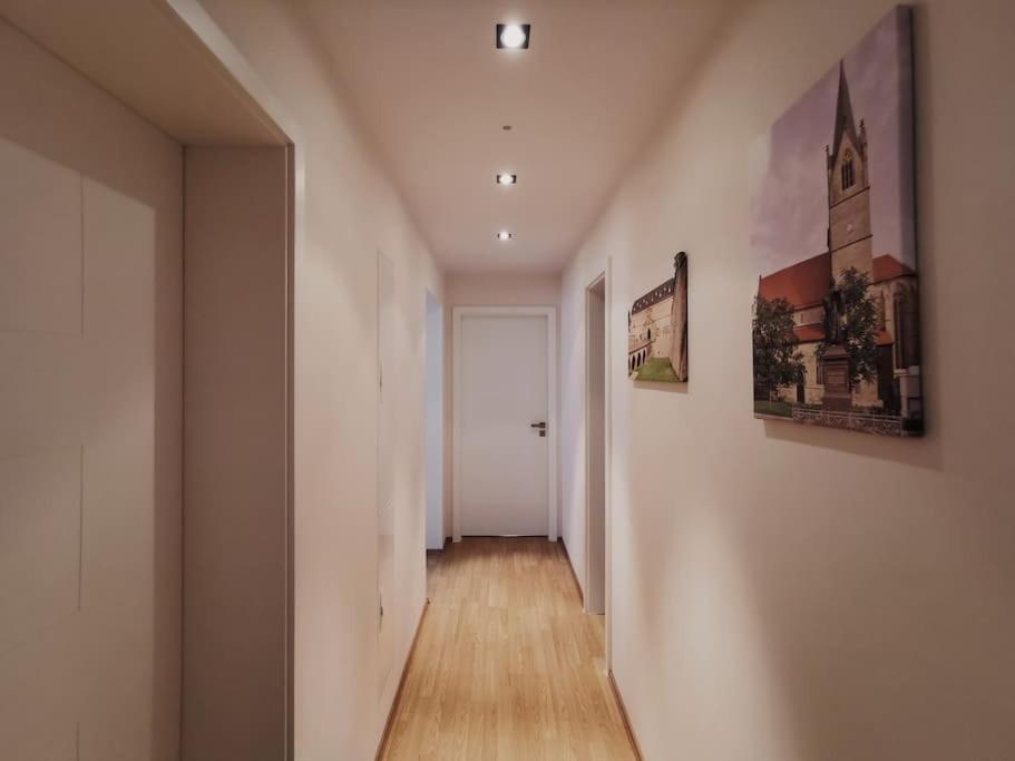 Ferienwohnung Im Bruehl إرفورت المظهر الخارجي الصورة