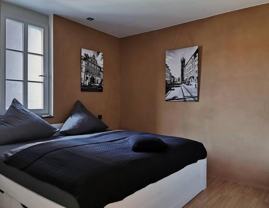Ferienwohnung Im Bruehl إرفورت المظهر الخارجي الصورة