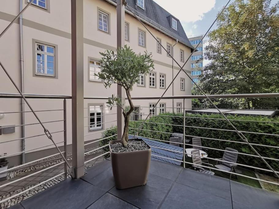Ferienwohnung Im Bruehl إرفورت المظهر الخارجي الصورة