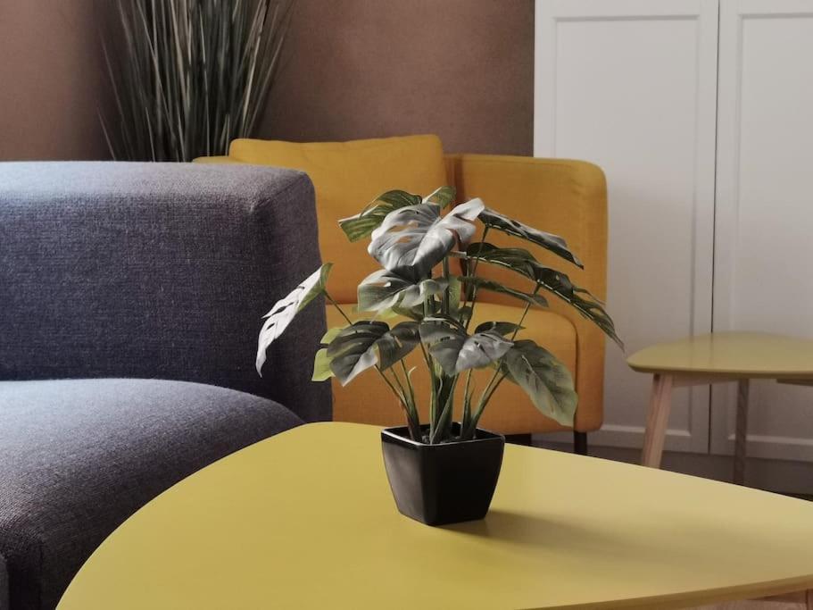 Ferienwohnung Im Bruehl إرفورت المظهر الخارجي الصورة