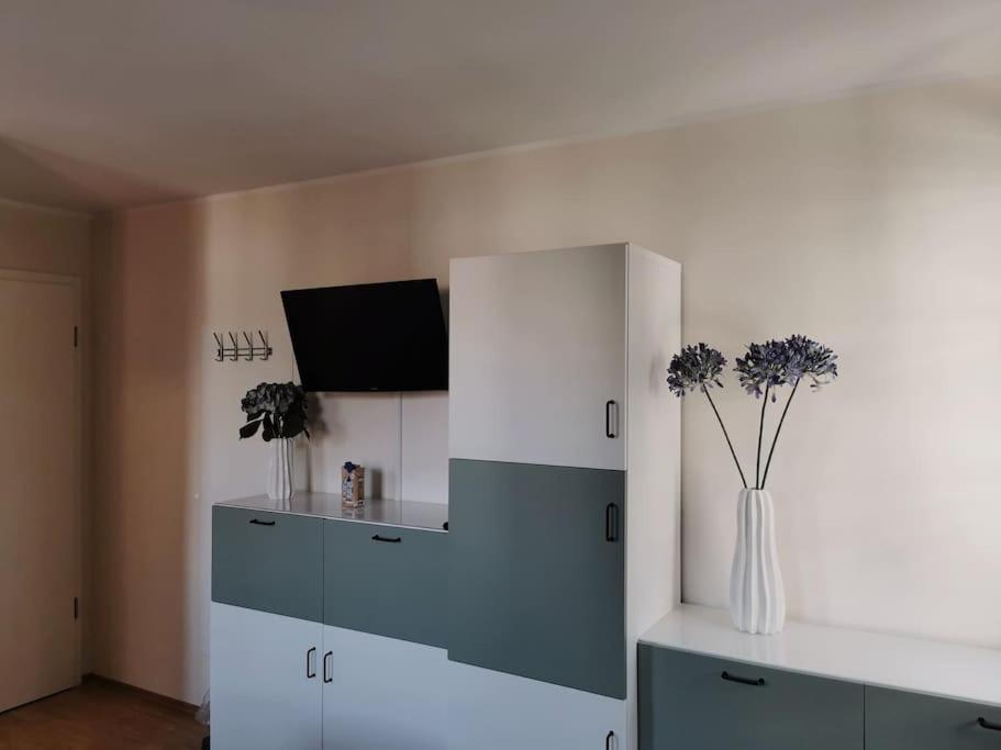 Ferienwohnung Im Bruehl إرفورت المظهر الخارجي الصورة